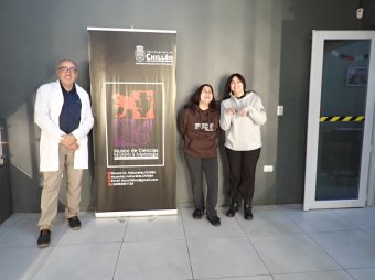 Rescate submarino en Chillán: Estudiantes universitarias devuelven la vida a una histórica colección de moluscos y crustáceos