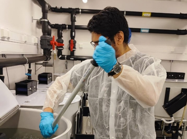 Científicos de la PUCV crean innovador aditivo alimentario para hacer frente a millonarias pérdidas en la salmonicultura