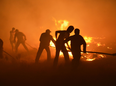 Científicos de la PUCV advierten sobre el impacto del cambio climático en megaincendios tras analizar la tragedia de Las Tablas