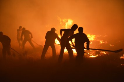 Científicos de la PUCV advierten sobre el impacto del cambio climático en megaincendios tras analizar la tragedia de Las Tablas